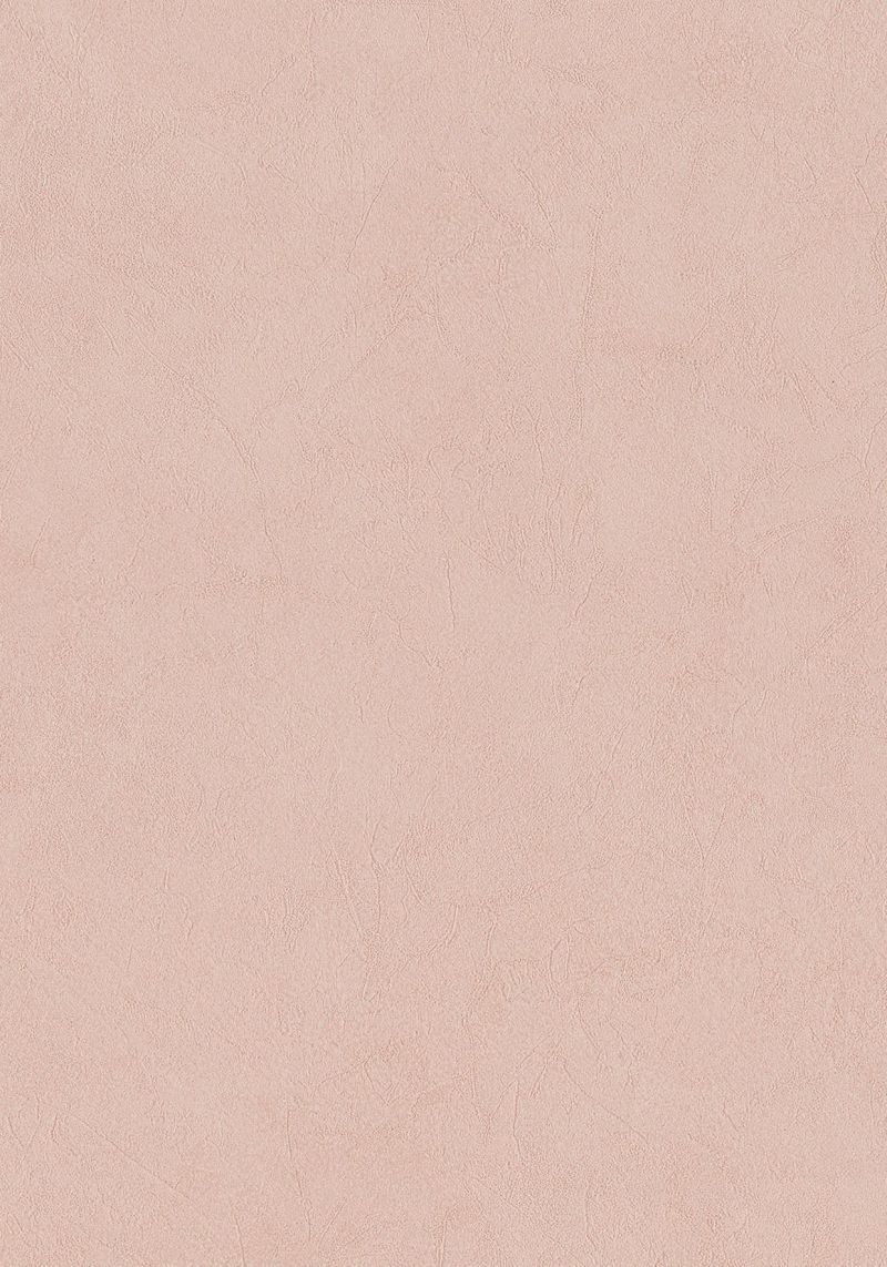 Imagine Wallpaper Blush 221055 By BN Wallcoverings For Tektura