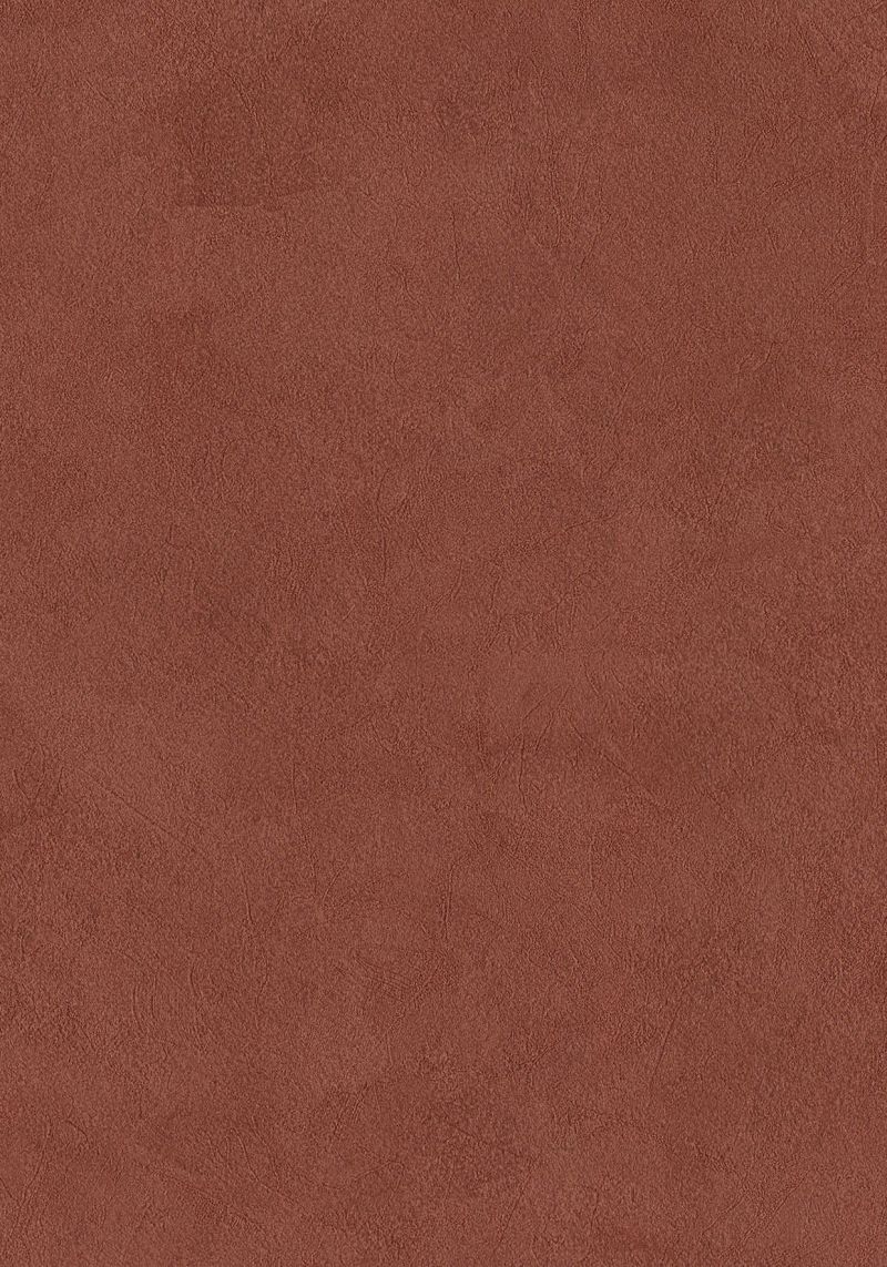 Imagine Wallpaper Blush 221061 By BN Wallcoverings For Tektura