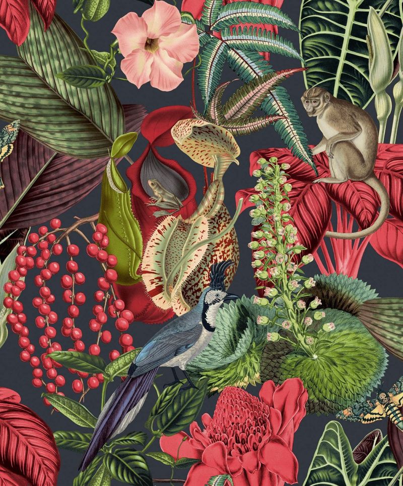 Jungle Fever Wallpaper Amazon JF2201 By Grandeco Life