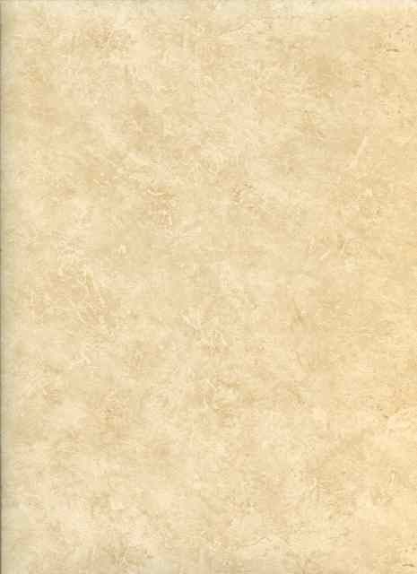 Kitchen Concepts Wallpaper CO25909 By Galerie