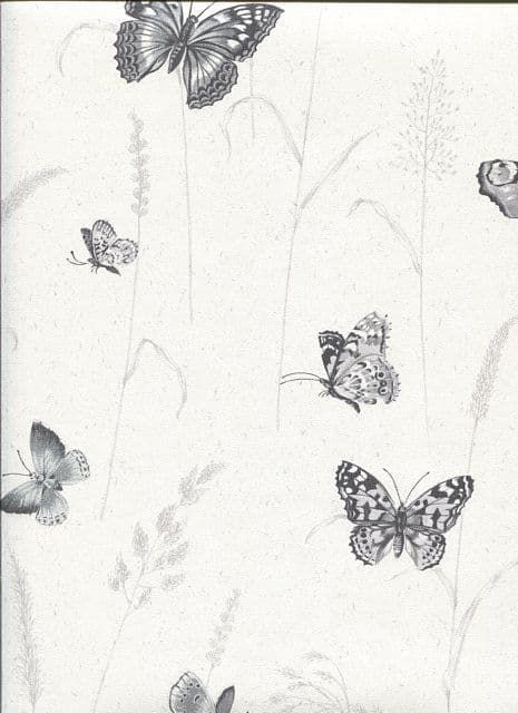 Kitchen Recipes Butterfly Wallpaper G12253 By Galerie