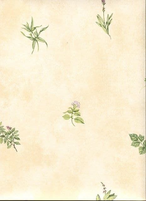 Kitchen Style 2 Wallpaper KC18535 By Norwall For Galerie