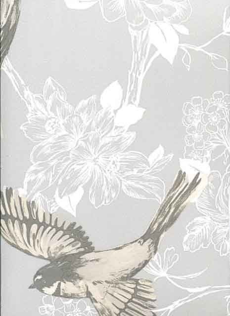 Maison Songbird Mist Wallpaper 1616/655 By Prestigious Wallcoverings