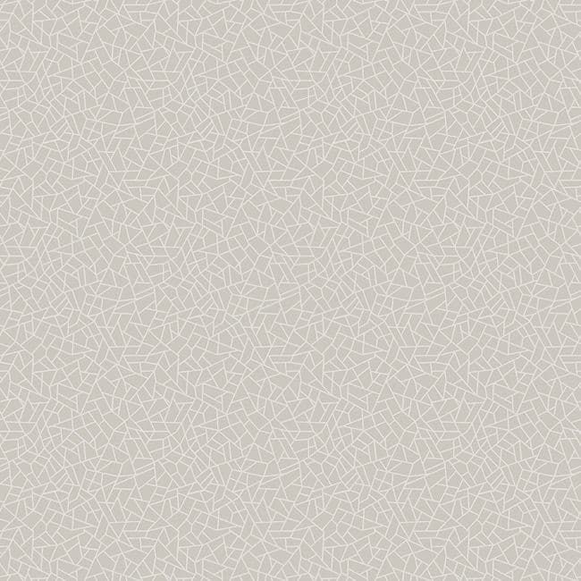 Metallic FX Page 43 Wallpaper W78193 By Galerie