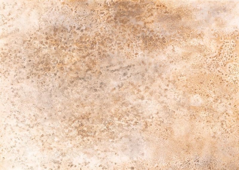 Moana Wallpaper Mural 300948 By Rasch For Today Interiors