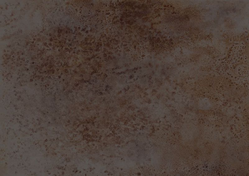 Moana Wallpaper Mural 301150 By Rasch For Today Interiors