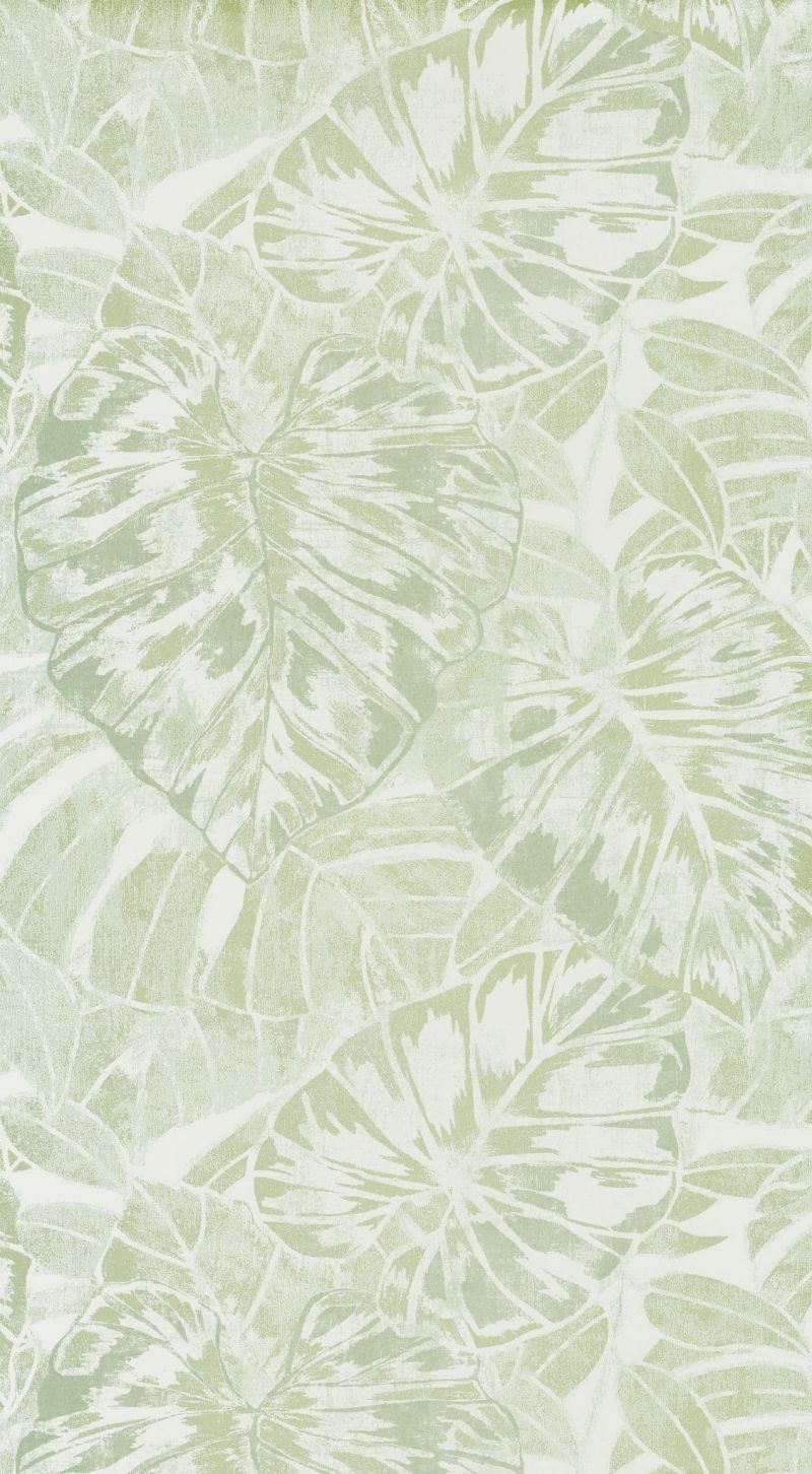 Panama Wallpaper Feuilles PANA 8107 72 24 PANA81077224 By Casadeco