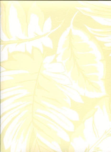 Paradise Wallpaper PA34257 By Norwall For Galerie