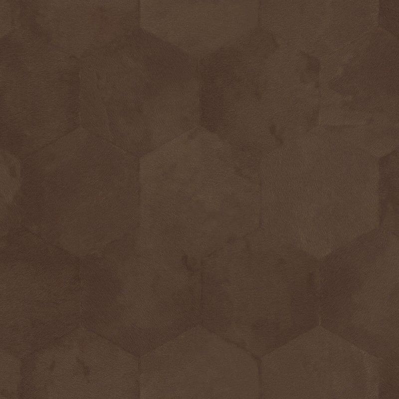 Philipp Plein Wallpaper Z80008 Zambaiti For Dixons Exclusive
