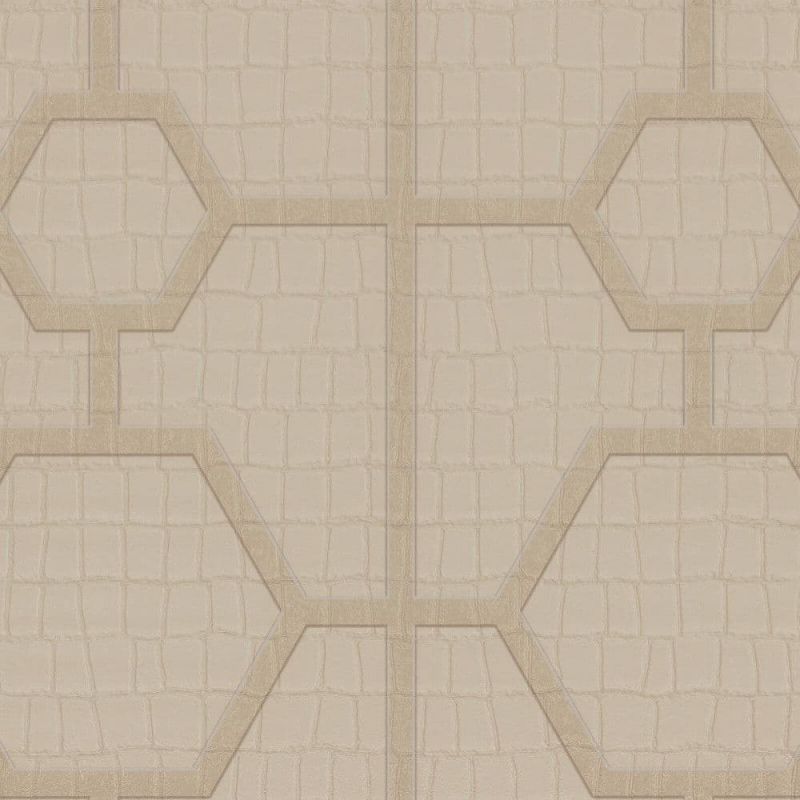 Philipp Plein Wallpaper Z80030 Zambaiti For Dixons Exclusive