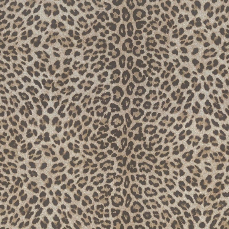 Philipp Plein Wallpaper Z80038 Zambaiti For Dixons Exclusive