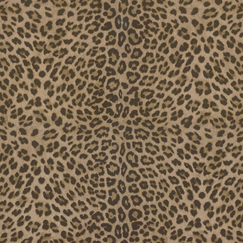 Philipp Plein Wallpaper Z80039 Zambaiti For Dixons Exclusive
