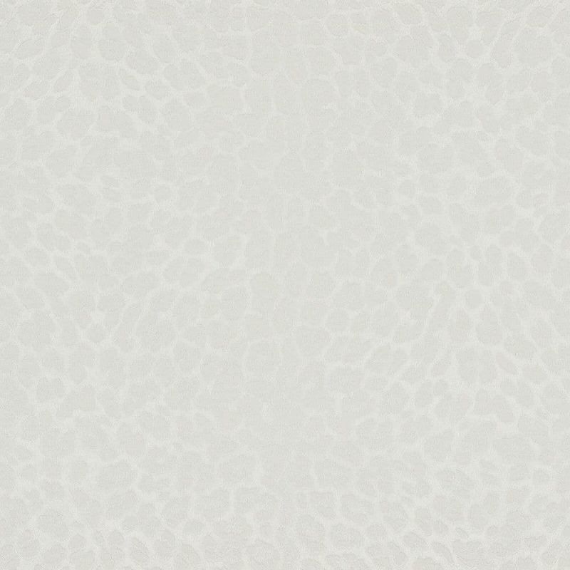 Philipp Plein Wallpaper Z80041 Zambaiti For Dixons Exclusive