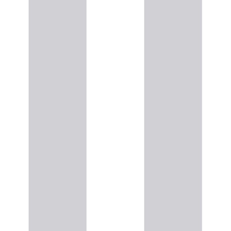 Plains & Stripes Wallpaper Bred Rand Grey 486-03 By Duro For Dixons