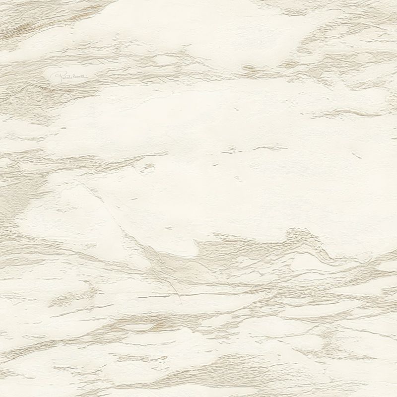 Roberto Cavalli Home No.9 Wallpaper RC21022 By Emiliana Parati For Colemans