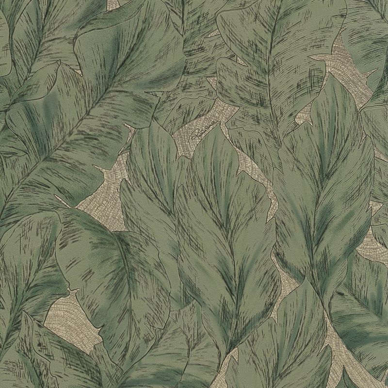 Roberto Cavalli Home No.9 Wallpaper RC21077 By Emiliana Parati For Colemans