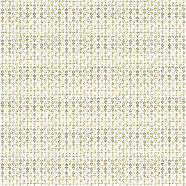 Rifle Paper Co. Second Edition Wallpaper Petal RP7360 By York Wallcoverings For Dixons