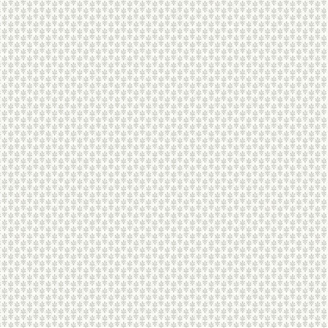 Rifle Paper Co. Second Edition Wallpaper Petal RP7361 By York Wallcoverings For Dixons