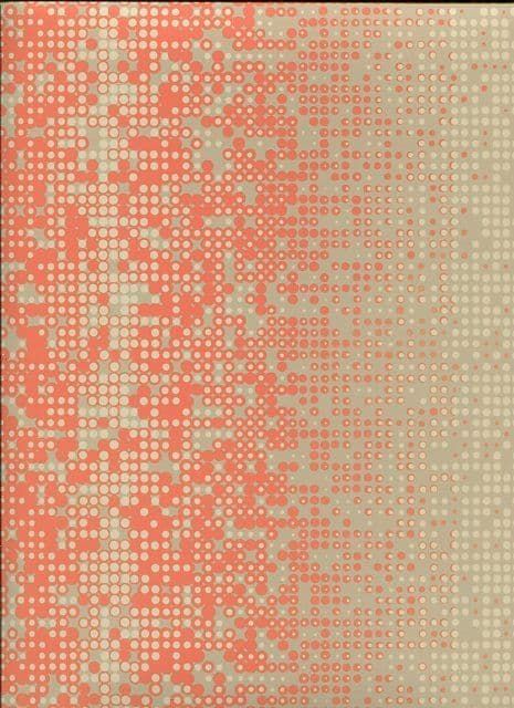 Risky Business 2 Wallpaper RY2741 By York Wallcoverings For Dixons Exclusive
