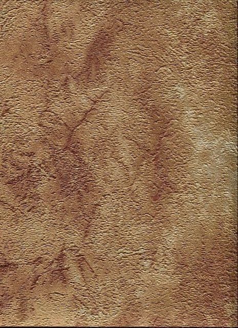 Roberto Cavalli Home No.2 Wallpaper RC13046 By Emiliana For Colemans