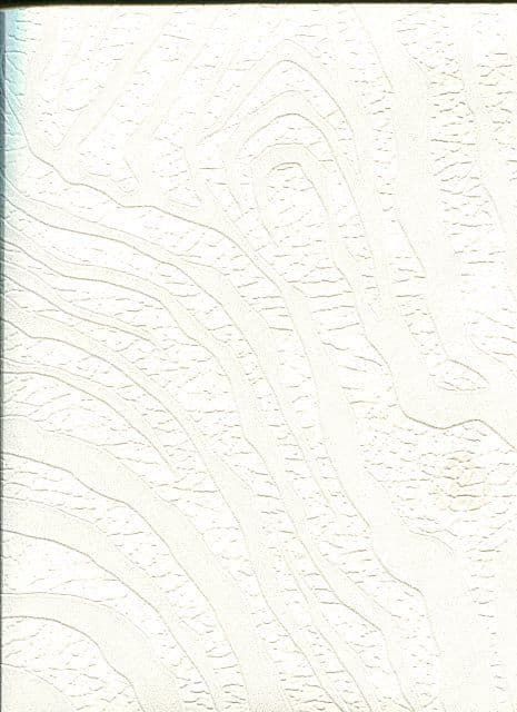 Roberto Cavalli Home No.6 Wallpaper RC17072 By Emiliana For Colemans