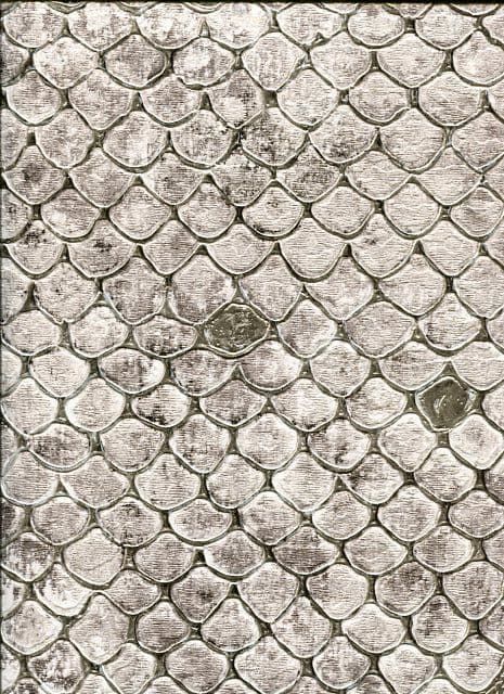 Roberto Cavalli Home No.6 Wallpaper RC17108 By Emiliana For Colemans