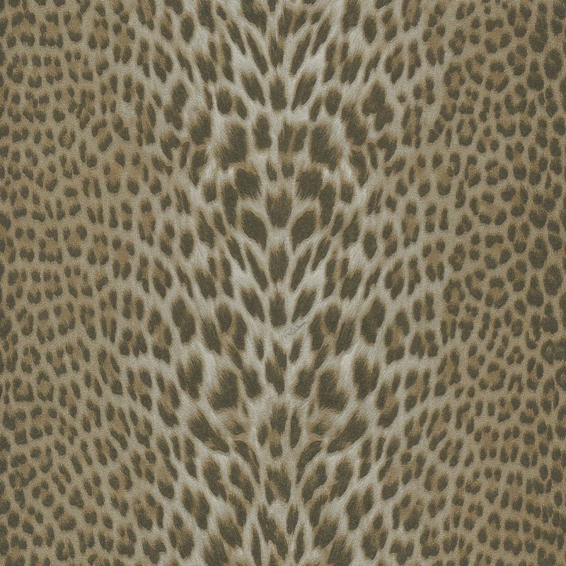Roberto Cavalli Home No.7 Wallpaper RC18026 By Emiliana Parati For Colemans