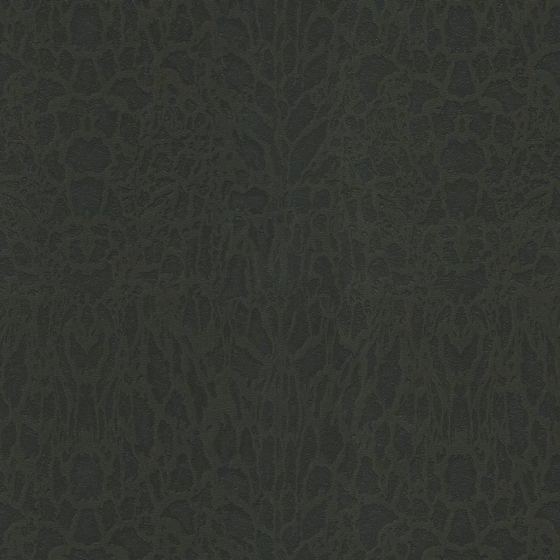 Roberto Cavalli Home No.7 Wallpaper RC18062 By Emiliana Parati For Colemans