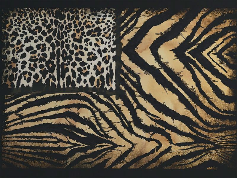 Roberto Cavalli Home No.8 Flag Fabric Base Digital Panel RC19101 By Emiliana Parati For Colemans