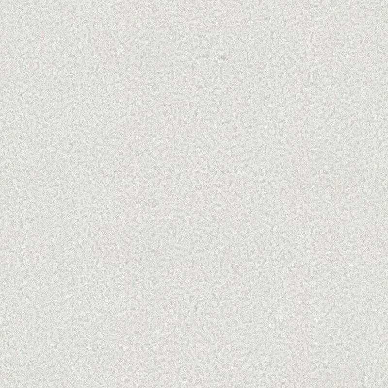 Roberto Cavalli Home No.8 Wallpaper RC19024 By Emiliana Parati For Colemans
