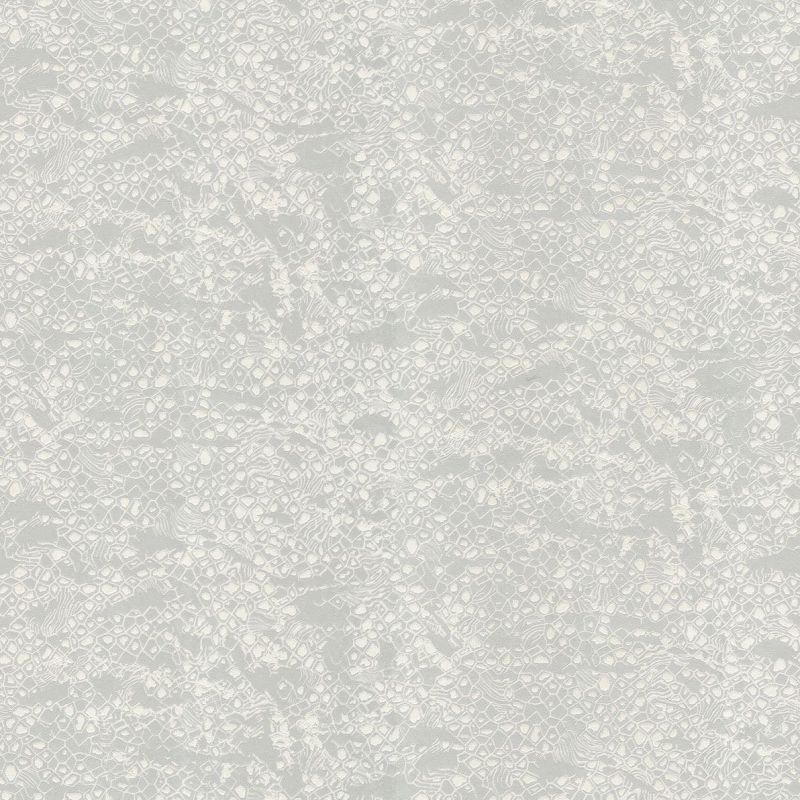 Roberto Cavalli Home No.8 Wallpaper RC19034 By Emiliana Parati For Colemans