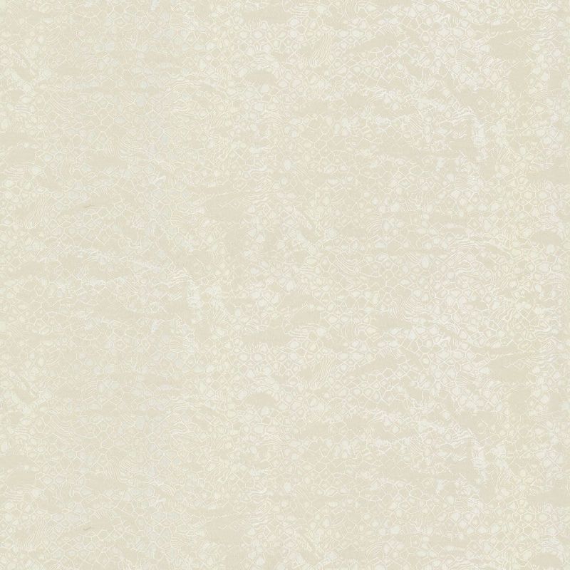Roberto Cavalli Home No.8 Wallpaper RC19037 By Emiliana Parati For Colemans
