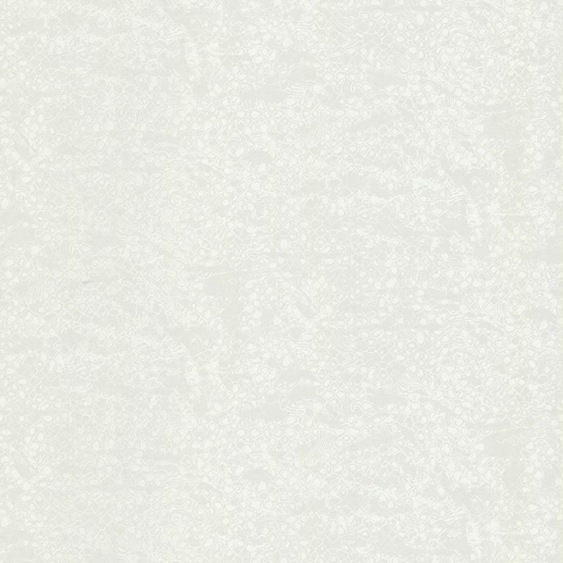 Roberto Cavalli Home No.8 Wallpaper RC19039 By Emiliana Parati For Colemans