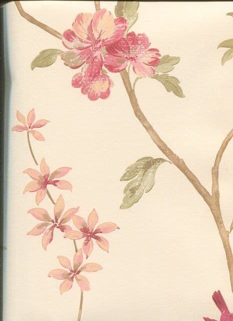 Rose Garden Wallpaper CG28803 By Norwall For Galerie