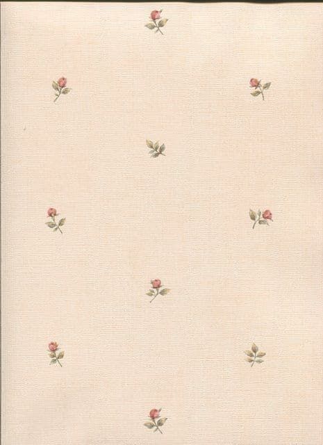 Rose Garden Wallpaper CG28855 By Norwall For Galerie