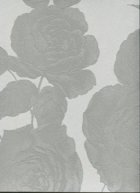 Savile Row SketchTwenty3  Wallpaper Rose Silver SR00522 By Tim Wilman For Blendworth