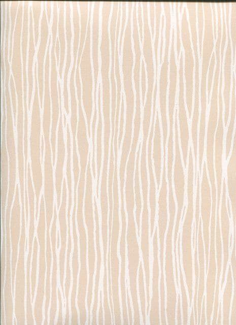 Shades Wallpaper SH34531 By Norwall For Galerie