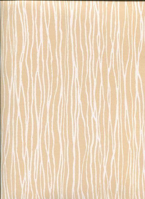 Shades Wallpaper SH34532 By Norwall For Galerie