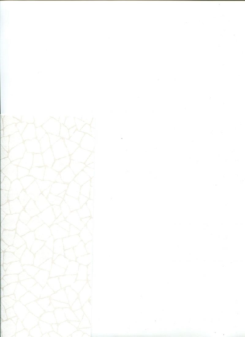 So Color 2 Rivoli Wallpaper SCR 1963 01 09 SCR19630109 By Casadeco
