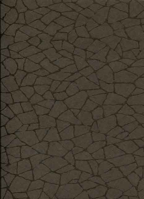So Color 2 Rivoli Wallpaper SCR 1963 15 05 SCR19631505 By Casadeco