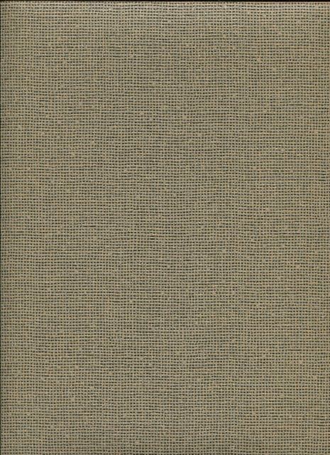 Soho SketchTwenty3 Wallpaper Hockney Antique Gold SO00912 By Tim Wilman For Blendworth