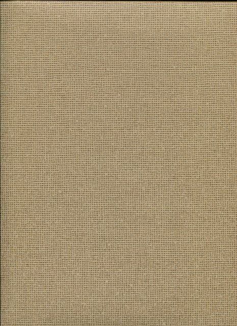 Soho SketchTwenty3 Wallpaper Hockney Gold SO00913 By Tim Wilman For Blendworth
