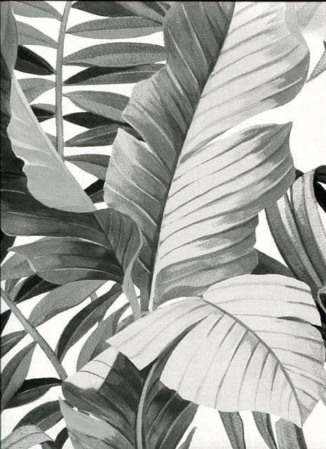 Solstice Sunny Style Wallpaper Alfresco 2744-24134 By A Street Prints For Brewster Fine Decor