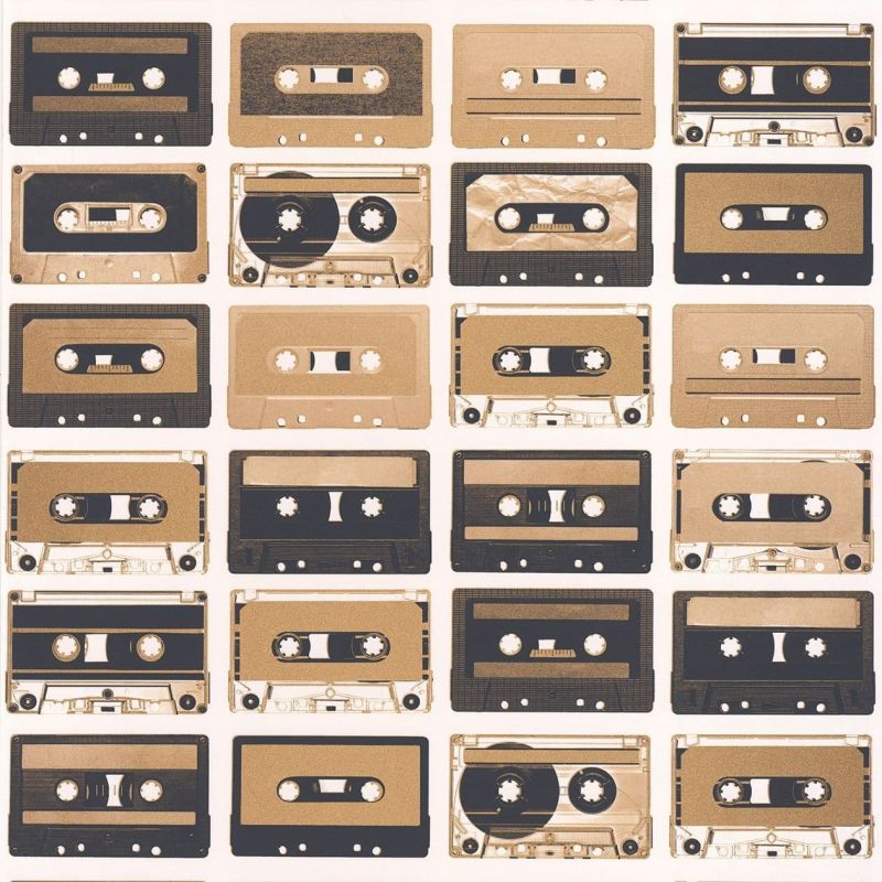 Tonic Wallpaper Cassettes TONI 6951 33 13 or TONI69513313 By Caselio