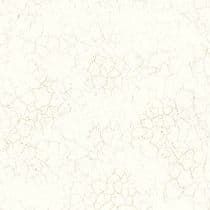 Transition Wallpaper Alchemy Cream Gold FJ31210 By Mayflower For Today Interiors