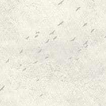 Transition Wallpaper Fly North Snow FJ31005 By Mayflower For Today Interiors