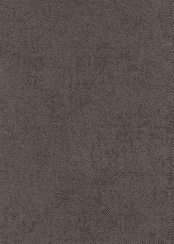 Tribute Wallpaper Lys Coffee CLR004 or CLR 004 By Khroma Masureel