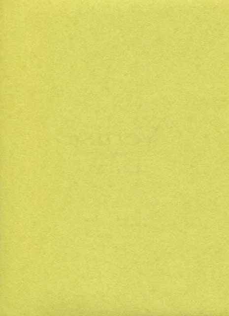 Venise Wallpaper Unis VEI 5885 70 53 VEI58857053 By Caselio