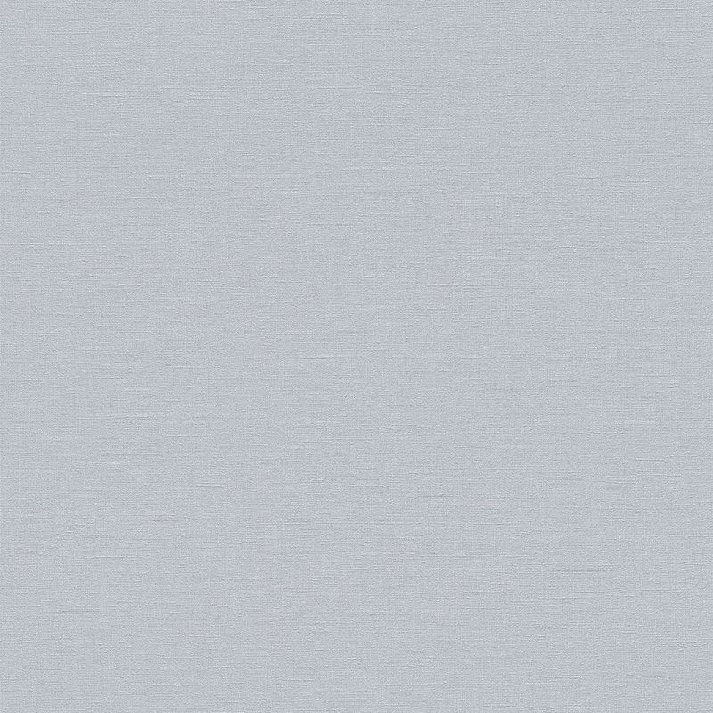 Wall Textures IV 4 Wallpaper 448597 By Rasch For Galerie