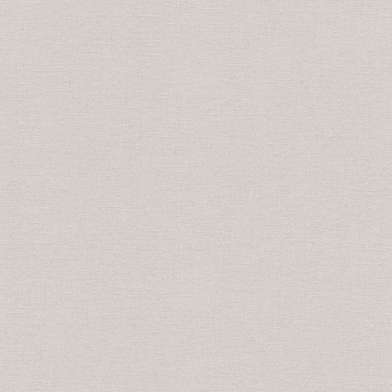 Wall Textures IV 4 Wallpaper 448610 By Rasch For Galerie